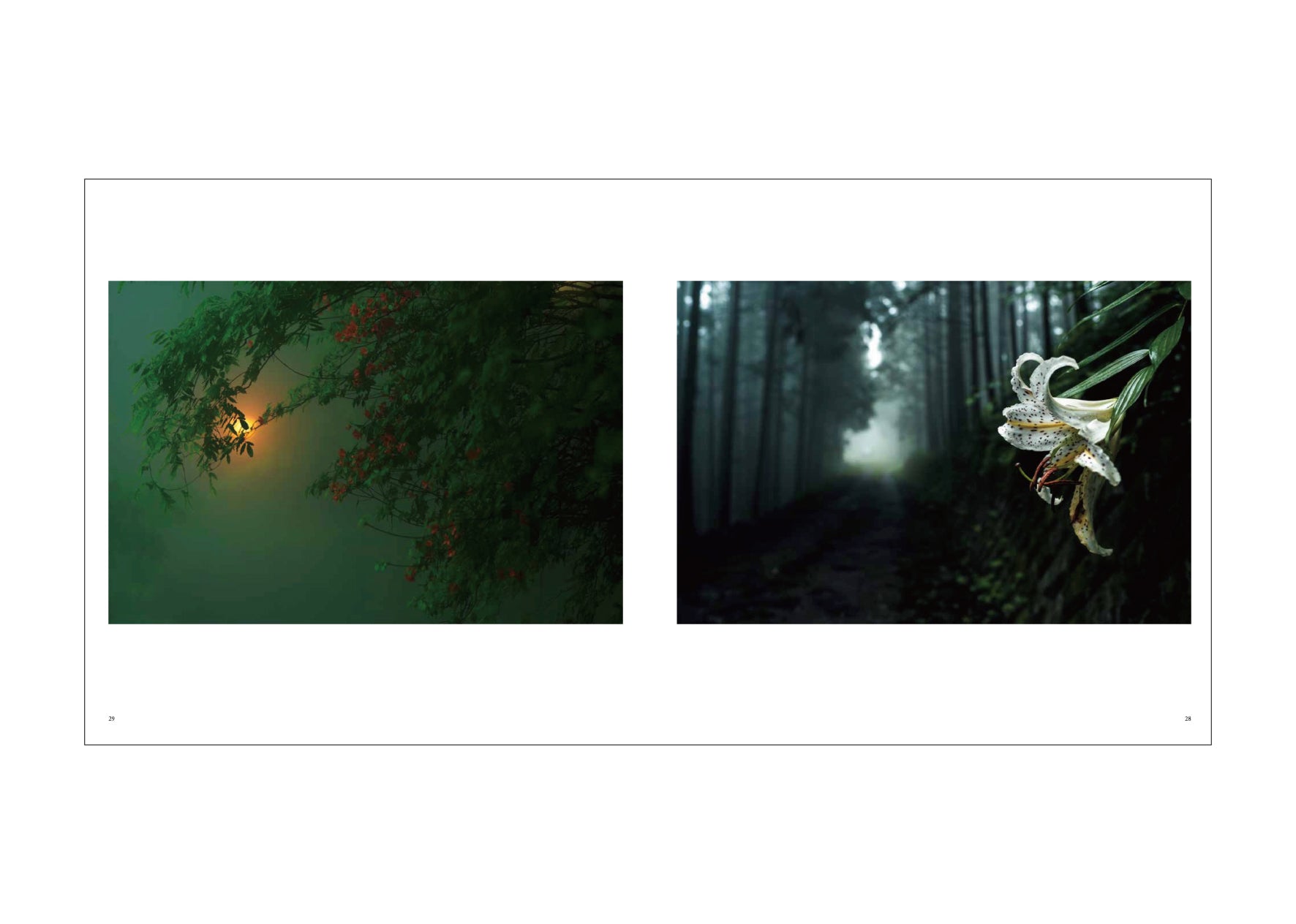 od19　静寂の森 Dear Silence-静寂の森- – Takumichi Seo Fine Art Place